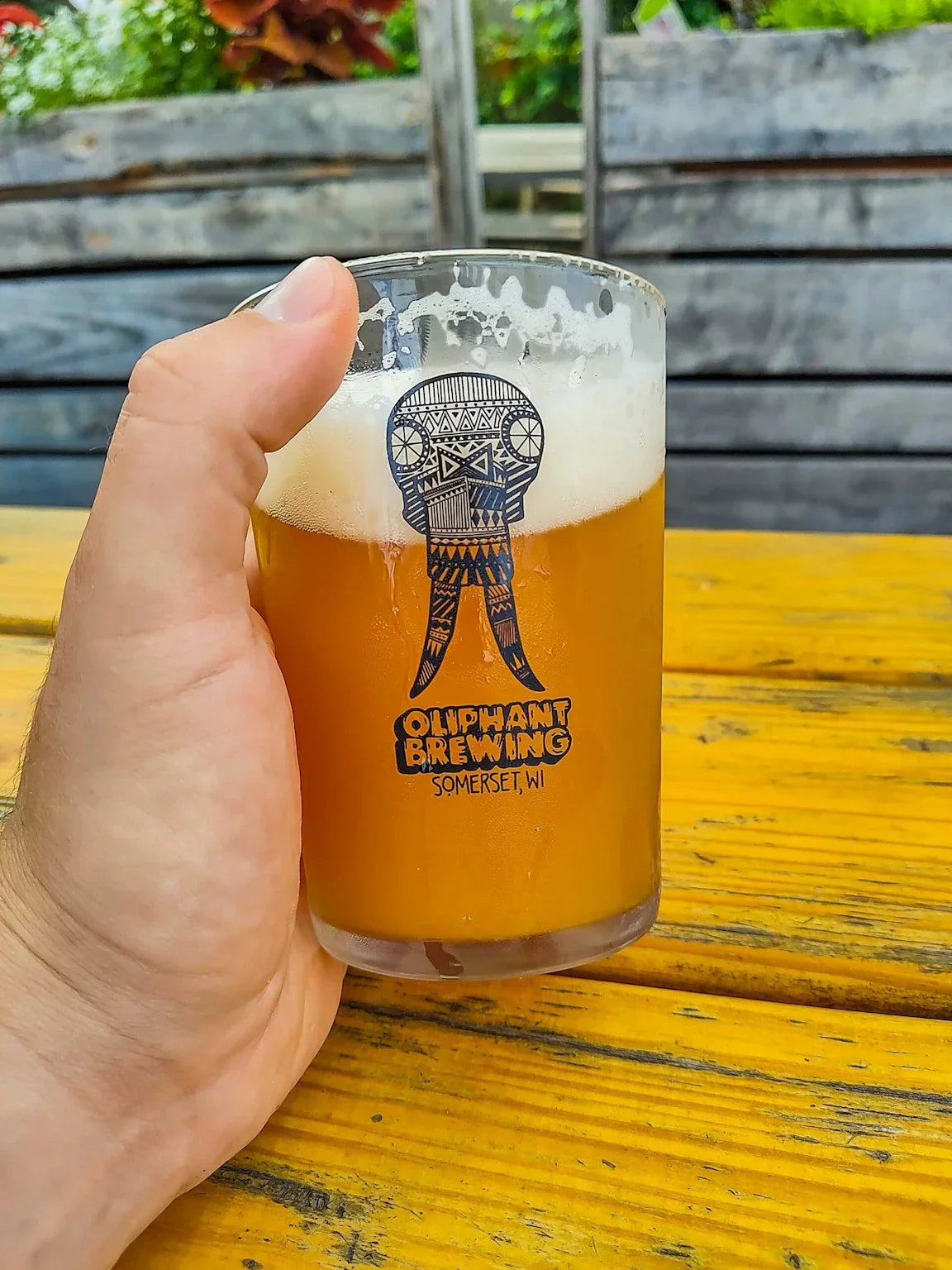 Hand holding Oliphant Brewing Somerset WI craft beer glass on outdoor yellow table